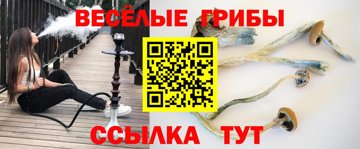 Псилоцибиновые грибы мухоморы  Вход с VPN  Псилоцибиновые грибы мухоморы  Прохладный 